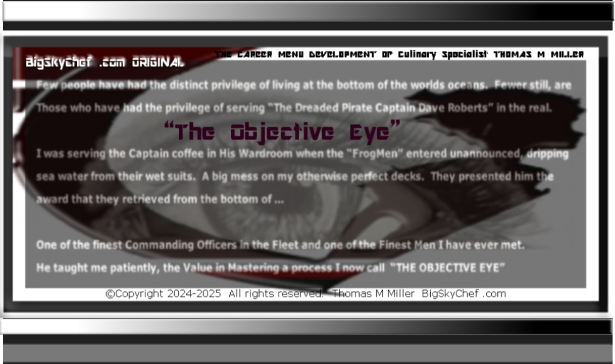 The Objective Eye